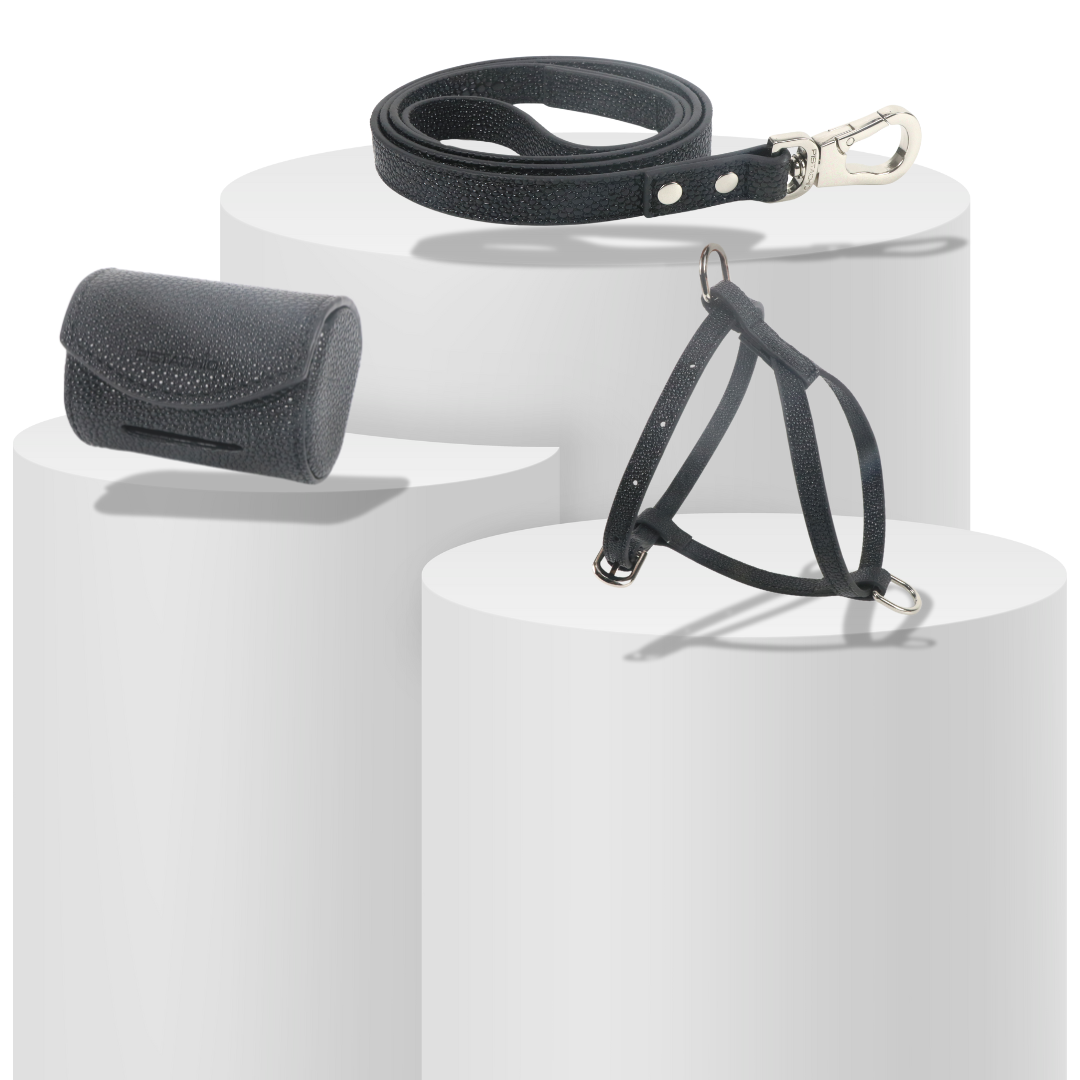 Harness Set (Black Caviar)