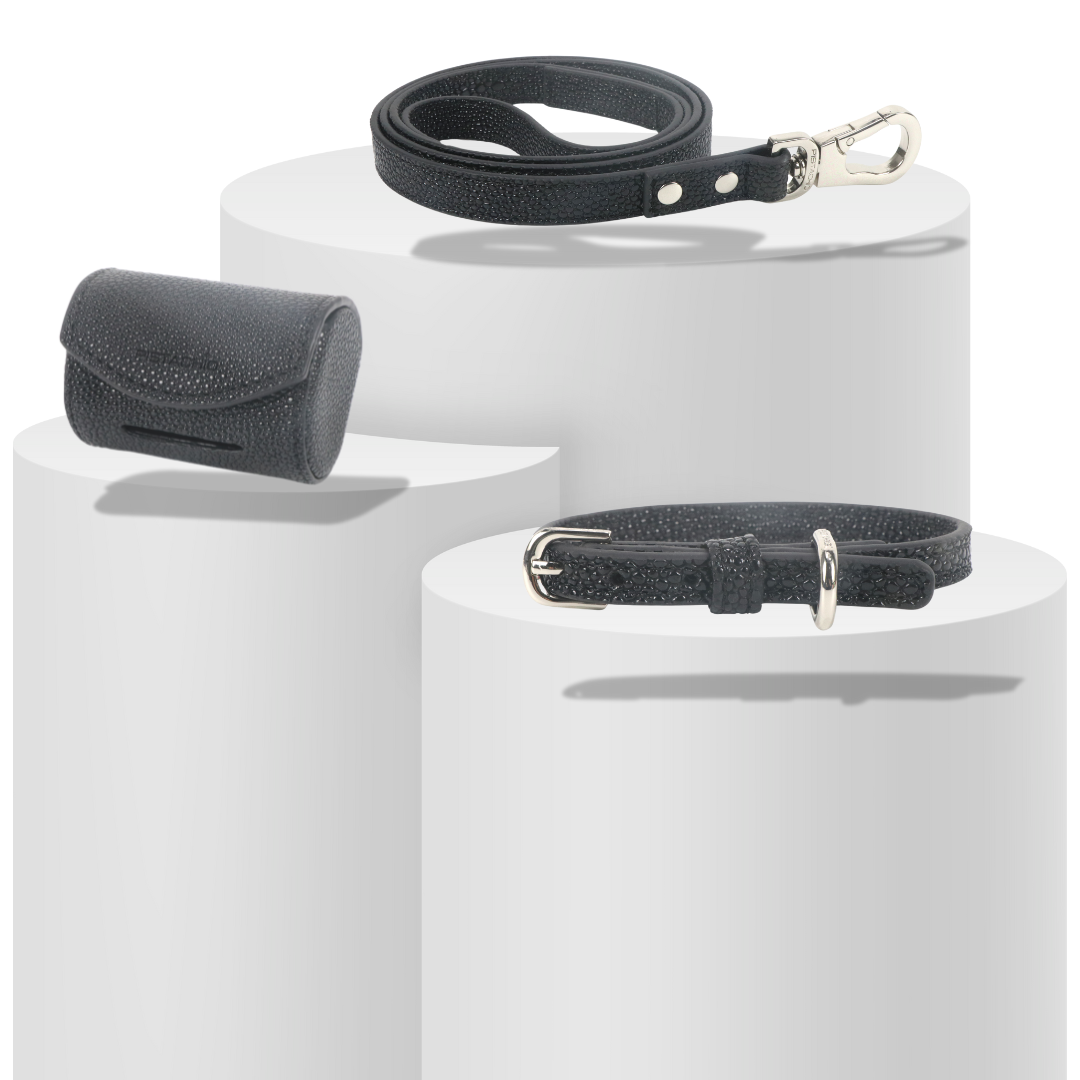 Collar Set (Black Caviar)