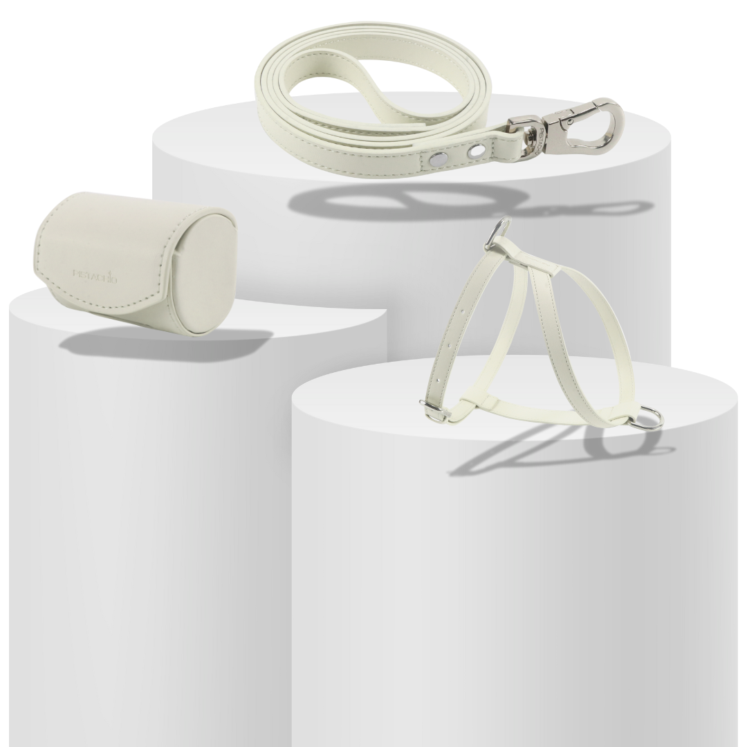 Harness Set (Bone)