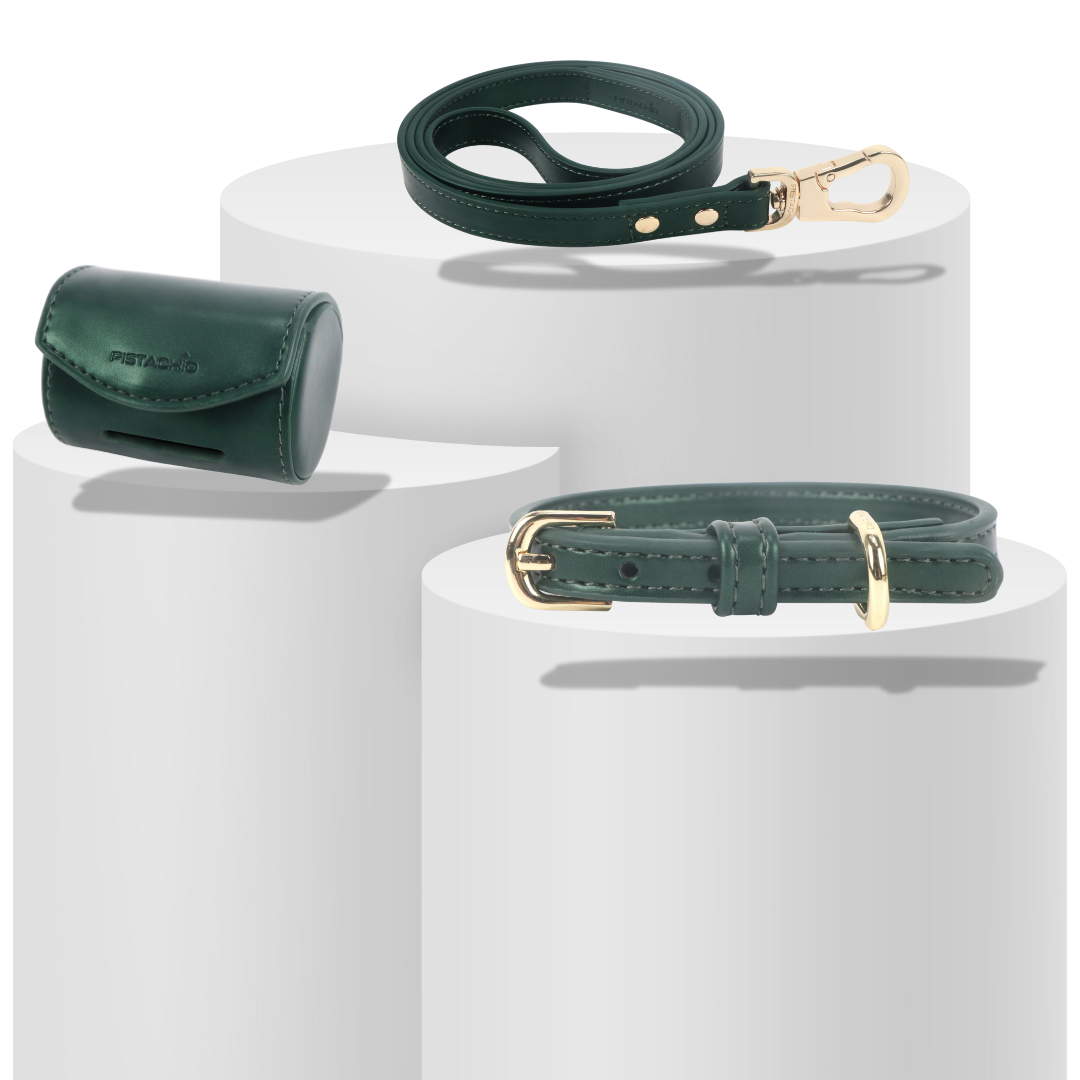 Collar Set (Hunter)