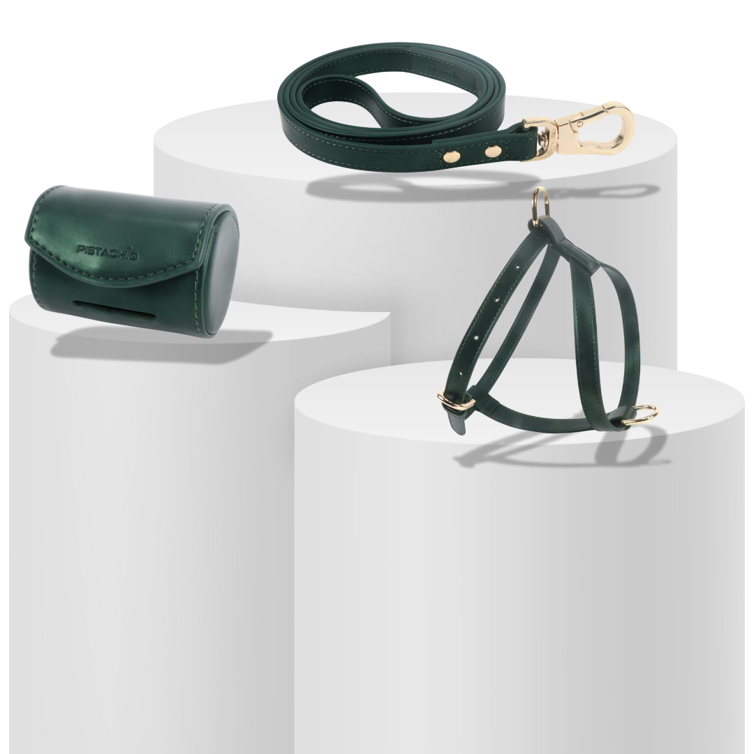 Harness Set (Hunter)