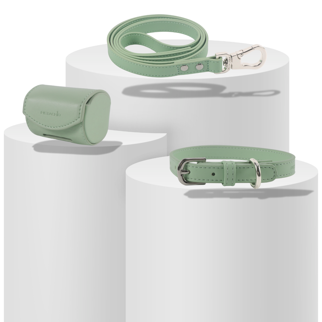 Collar Set (Pistachio)