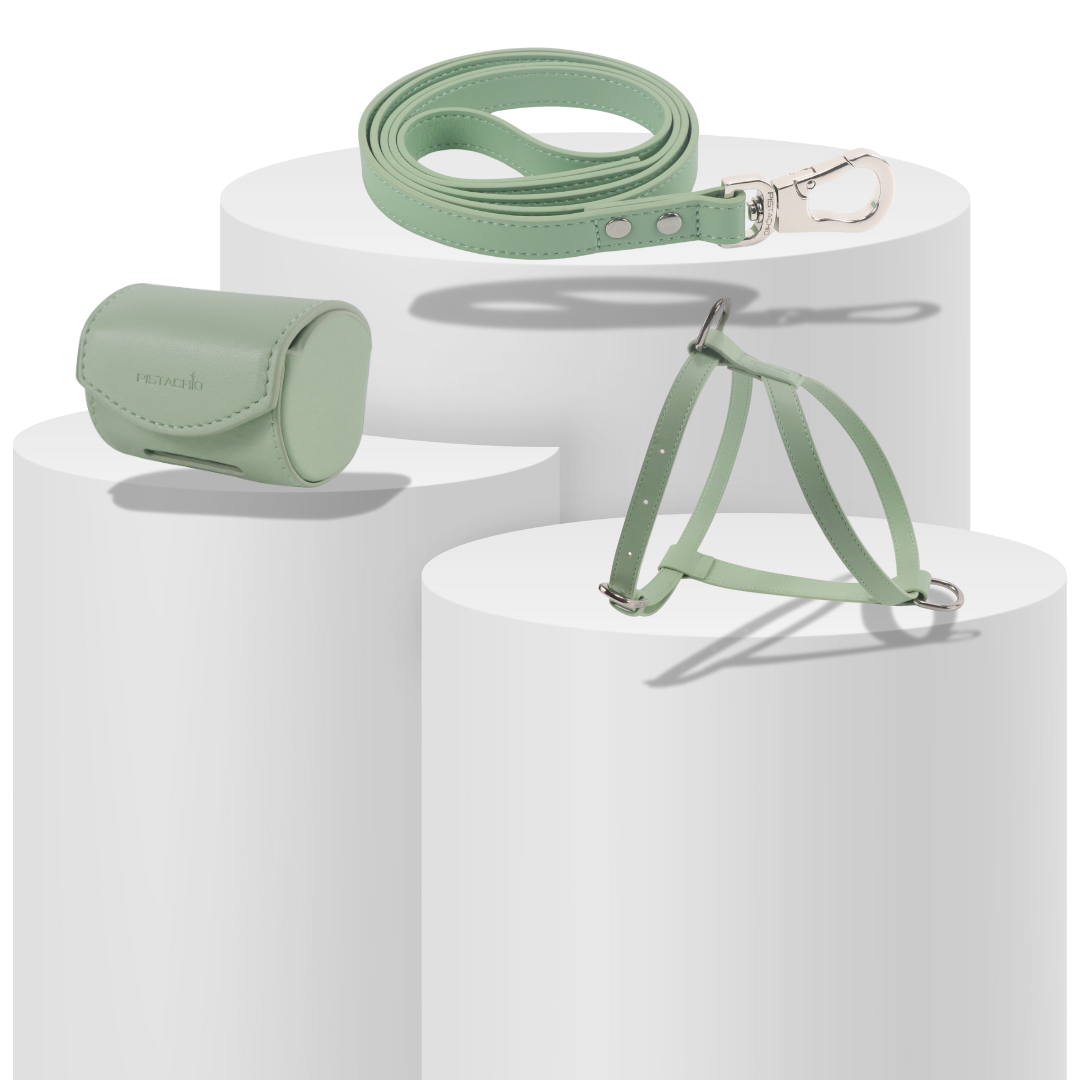Harness Set (Pistachio)