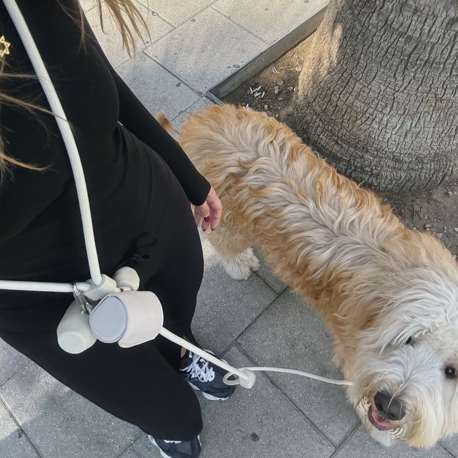 Why Hands-Free Leashes Are the Ultimate Everyday Luxury