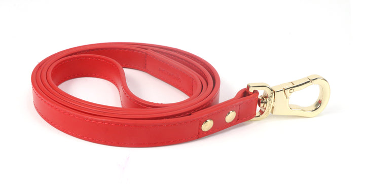 Leash